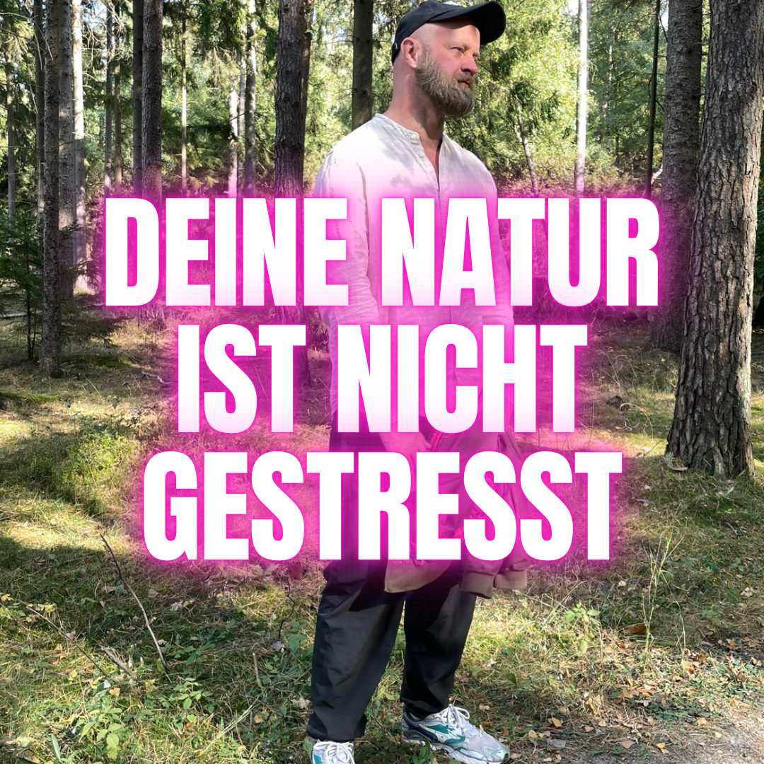 Warum unser Nervensystem im modernen Alltag überlastet ist