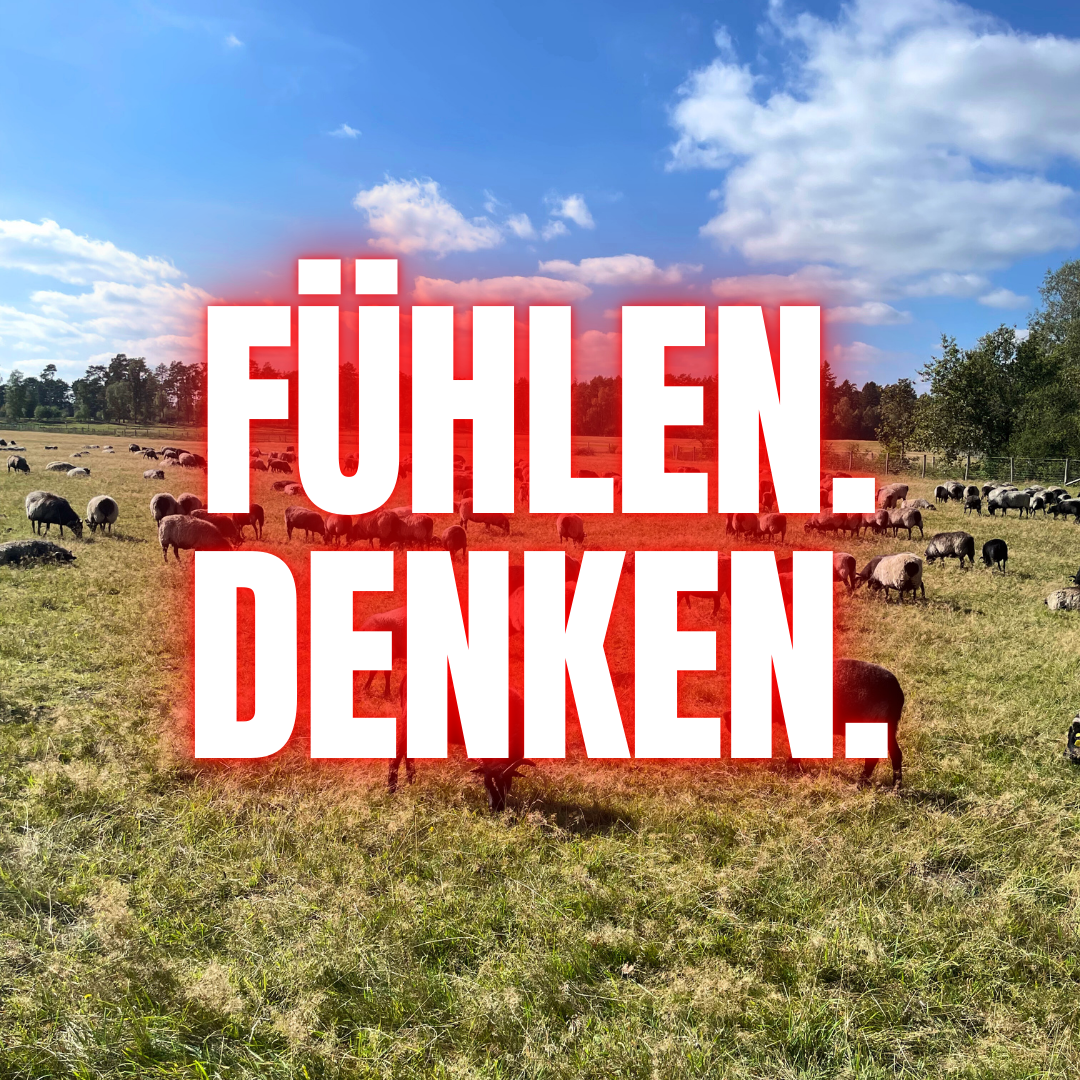 Sich fühlen und denken