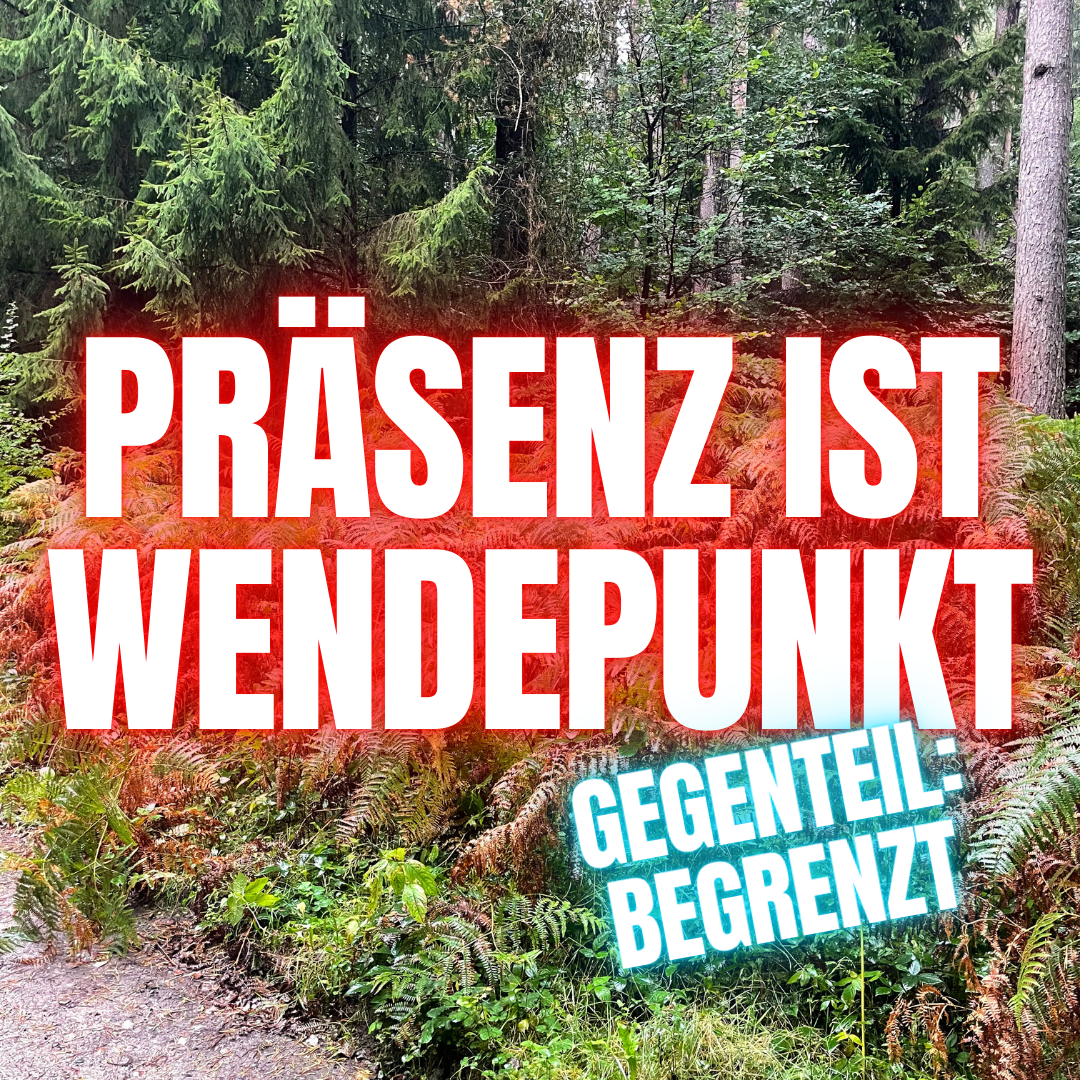 Was macht gutes Coaching wirklich stark?