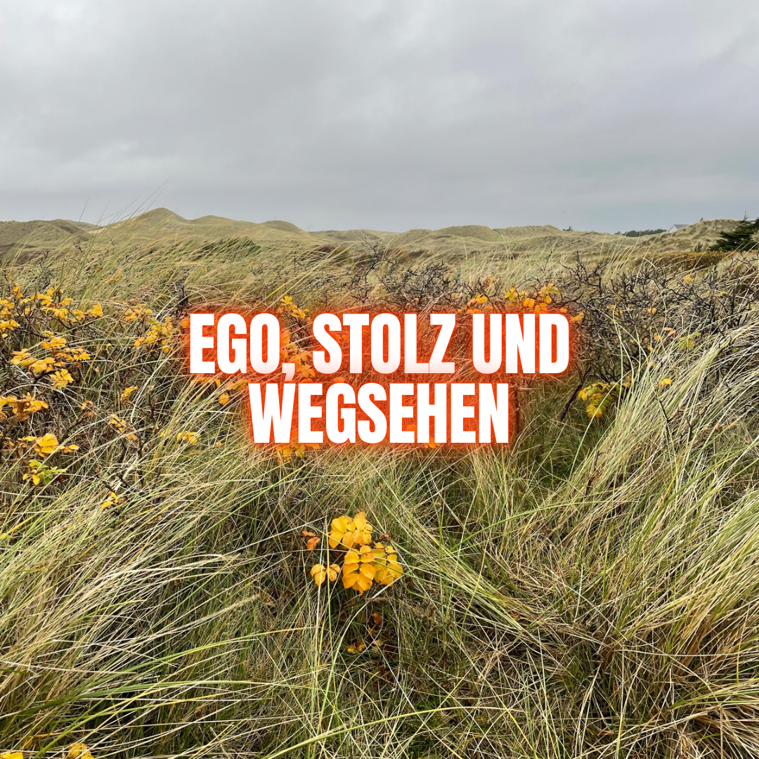 Ego, Stolz und das Wegsehen (vor sich selbst)