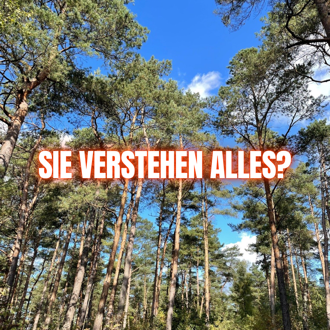 Sie verstehen alles – nur sich selbst nicht