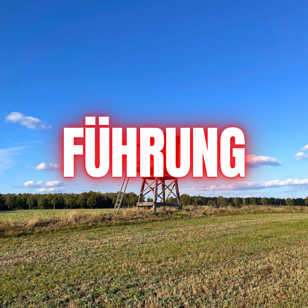 Führung: Wer nicht fühlt, muss kontrollieren.
