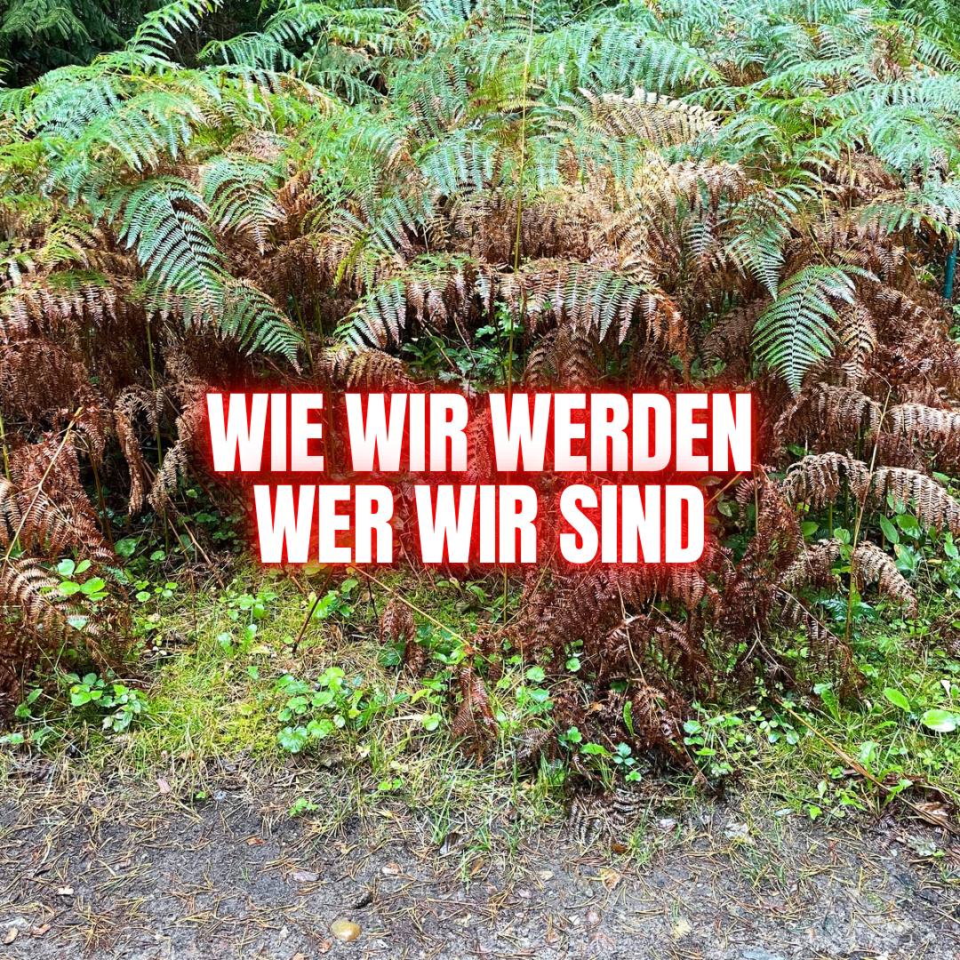 Was im Coaching passiert