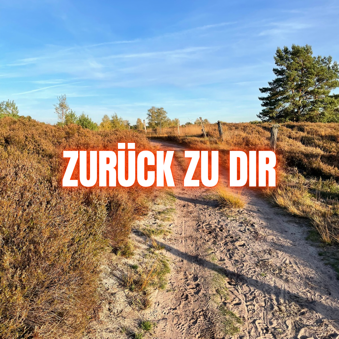 Zurück zu dir