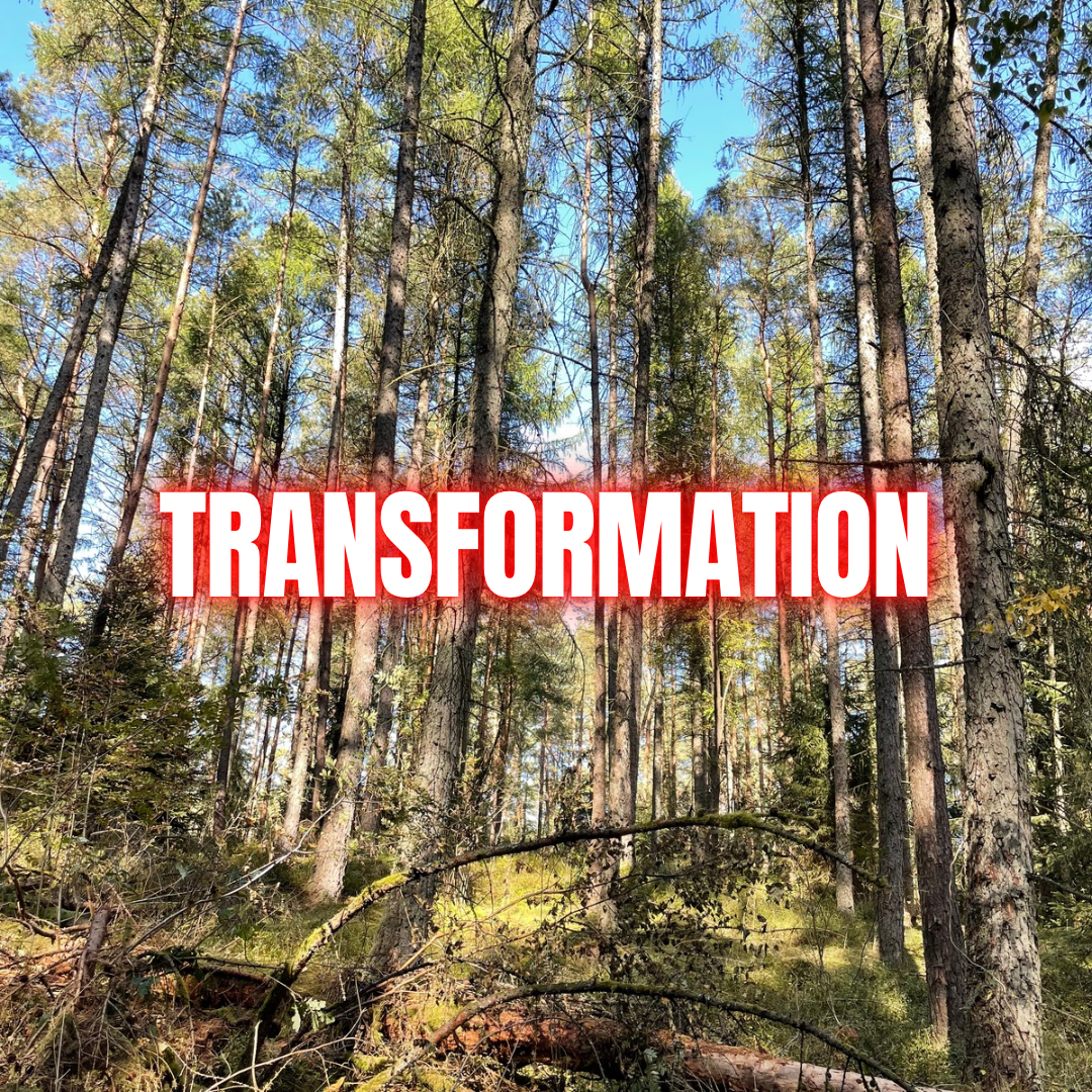 Essenz meiner Arbeit