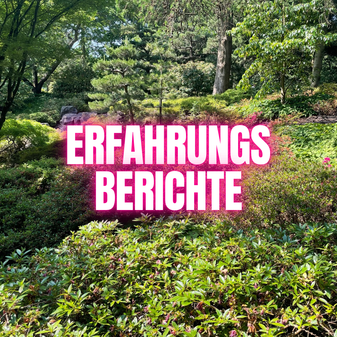 Erfahrungsberichte – was sich verändert