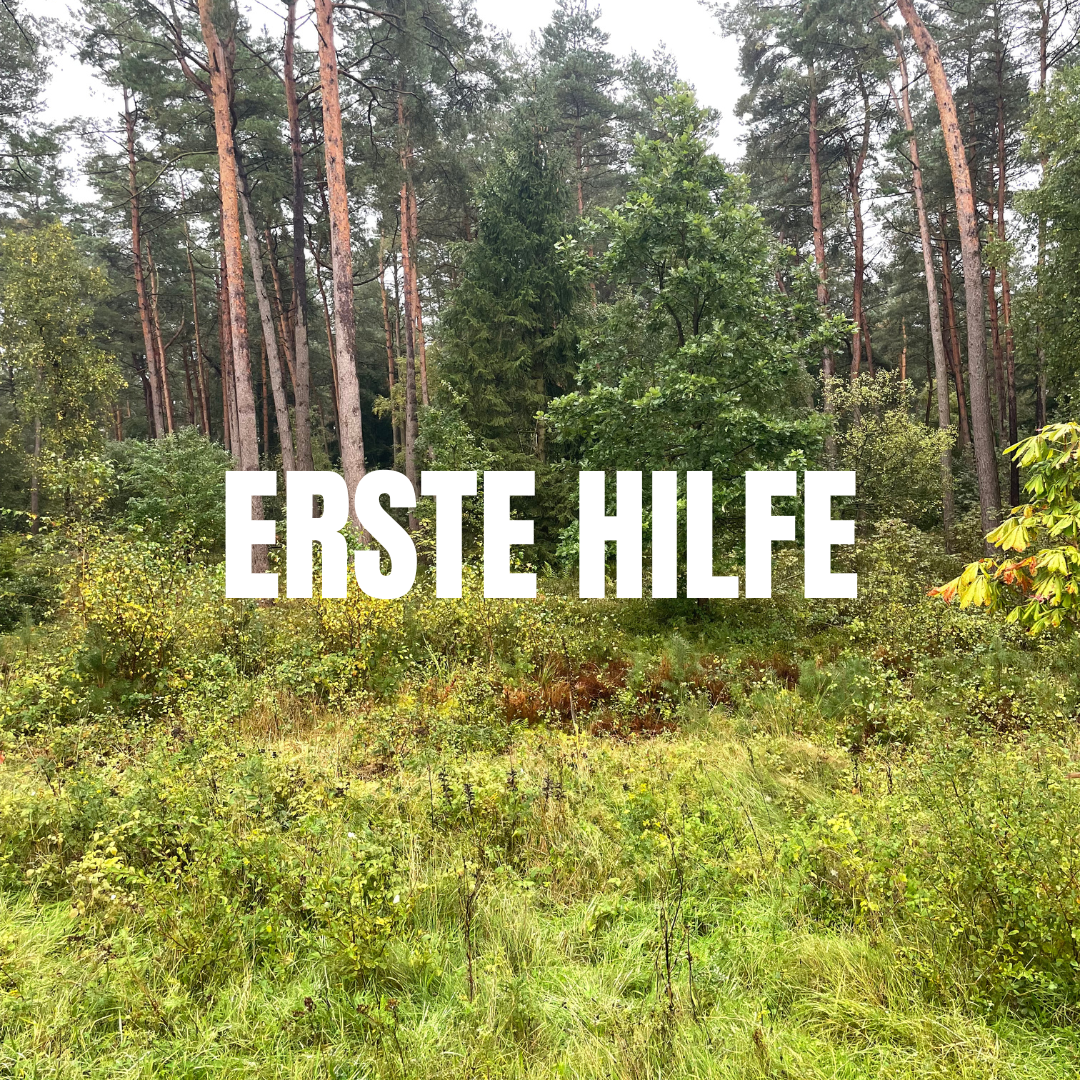 Die erste Hilfe