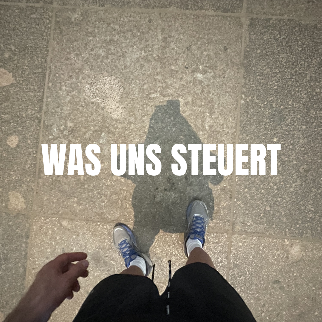 Deine emotionale Festplatte – Blaupause und Muster