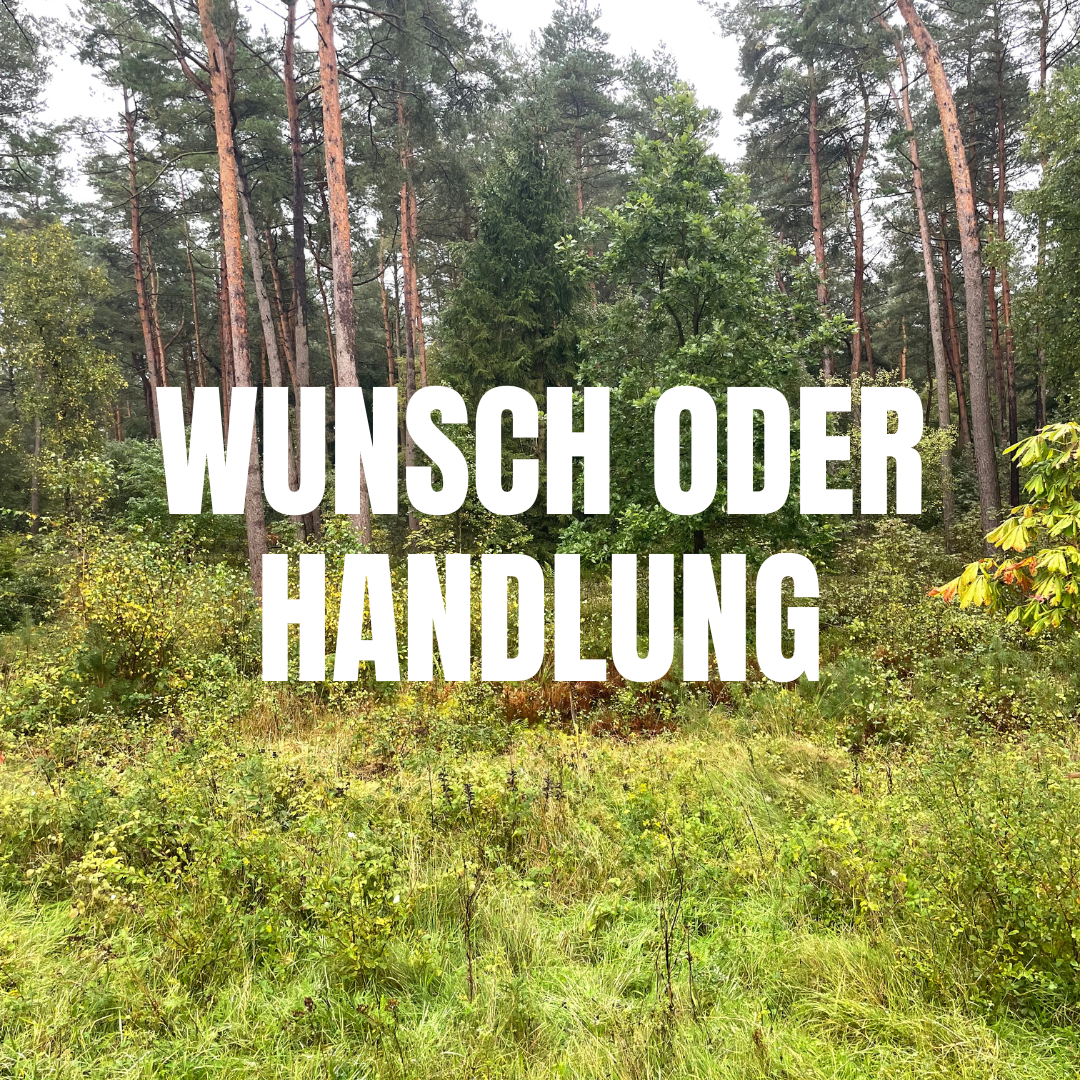 Verhalten oder Interpretation?