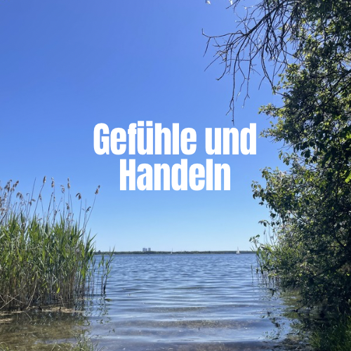 Emotionen machen handlungsfähiger