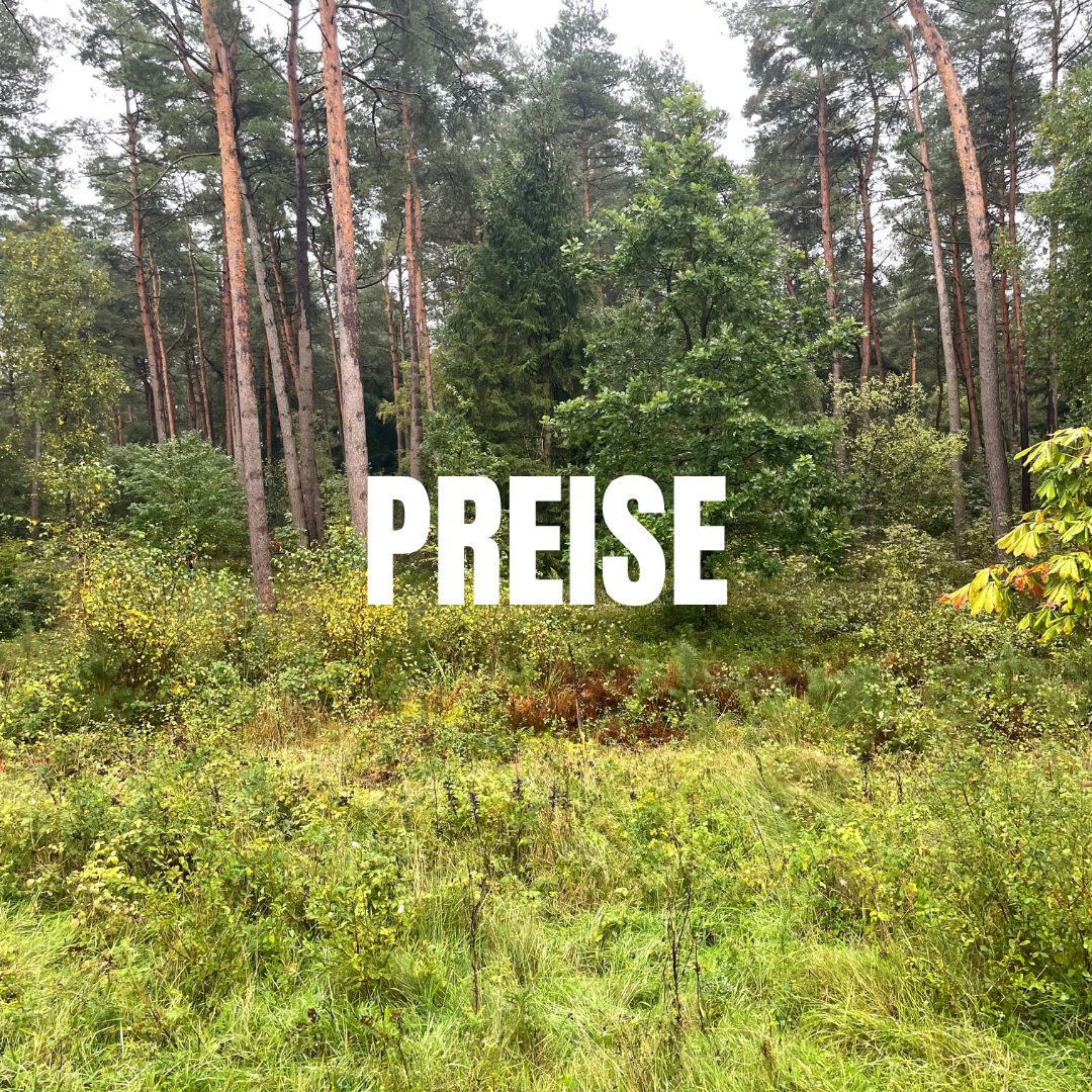 Preise für Beziehungscoaching – Entwicklung braucht Raum, keine Hektik.